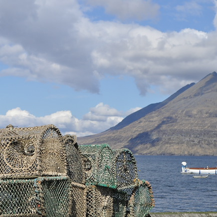 Découverte Ecosse