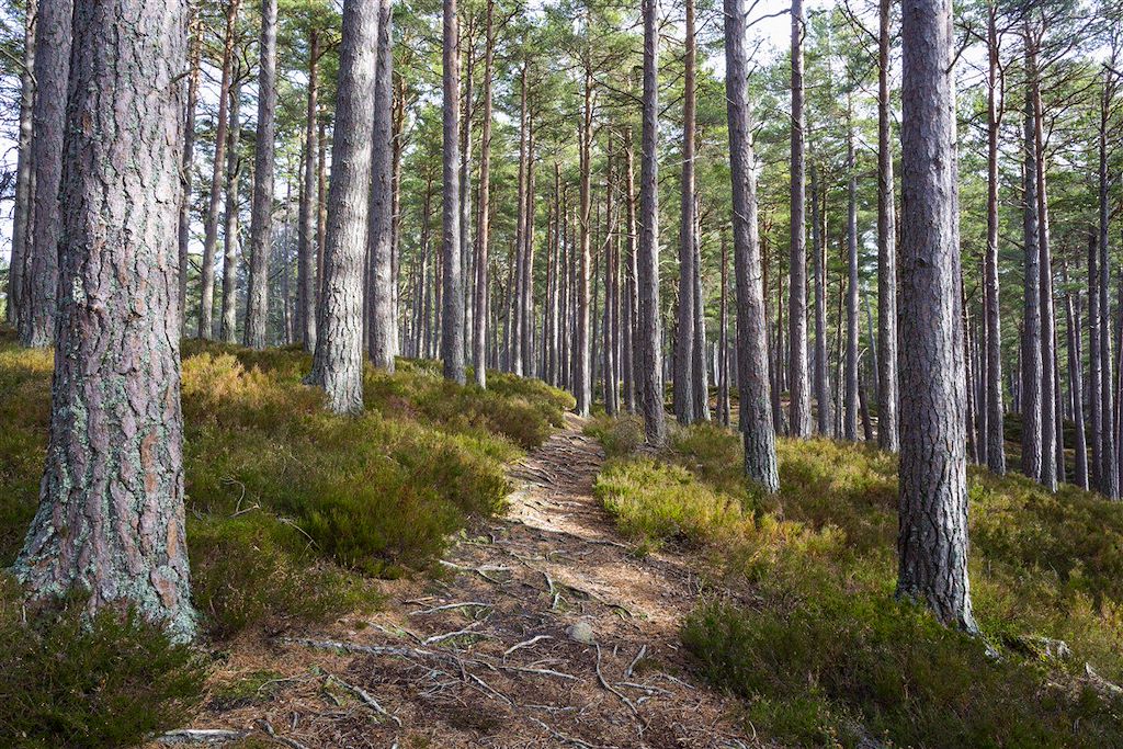 Image Écosse à vélo - Speyside - circuit Inverness - Cairngorms à vélo