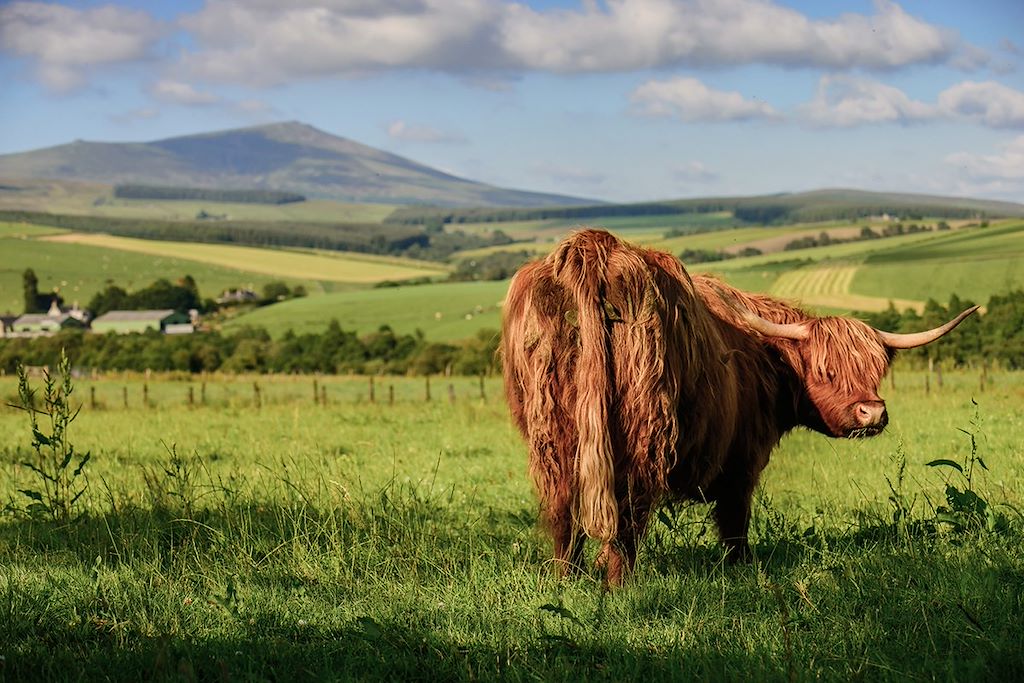 Image Écosse à vélo - Speyside - circuit Inverness - Cairngorms à vélo