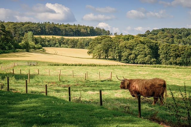 Voyage L'Écosse à vélo, d'Inverness aux Cairngorms