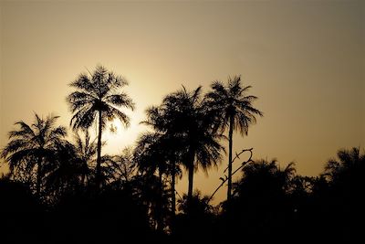 Coucher de soleil en pays Diola - Sénégal