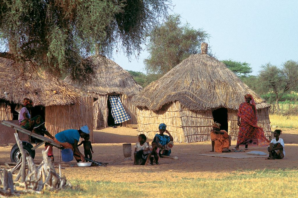 Voyage Vie sauvage dans le delta du Siné Saloum 1