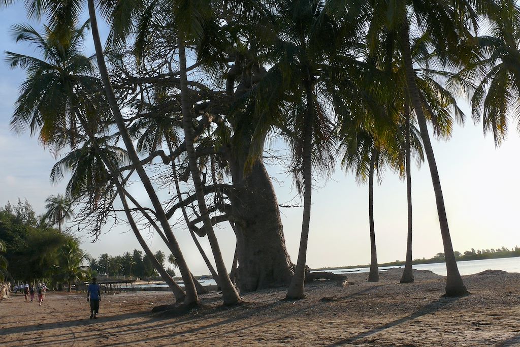 Image Senegal en famille - Delta du Saloum - Pirogue Sénégal