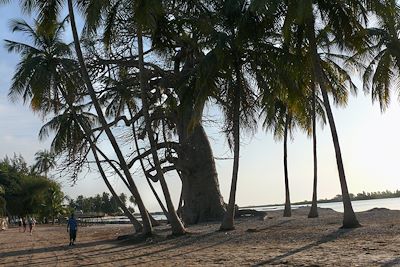Île de Niodor - delta du Sine Saloum - Sénégal