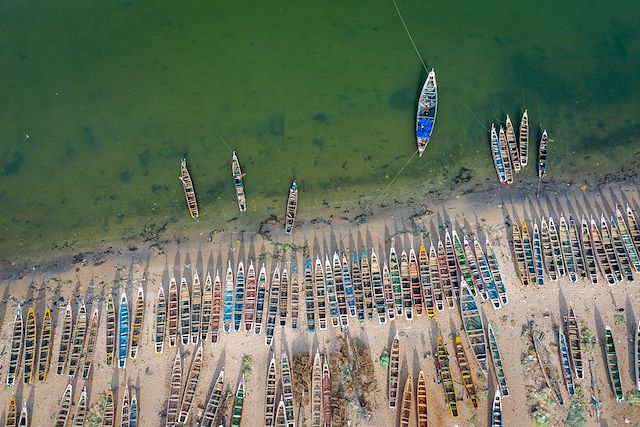 Voyage Vie sauvage dans le delta du Siné Saloum