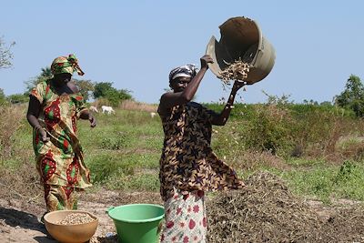 Delta du Sine Saloum - Sénégal