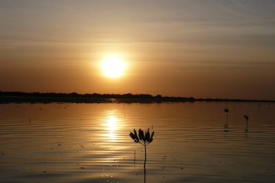 © Malika Rousseau - Delta du Sine Saloum - Sénégal Delta du Sine Saloum - Sénégal