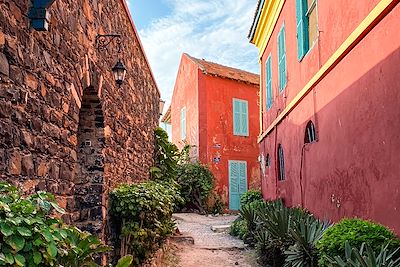 © Camille Andrieu - Ile de Gorée - Sénégal Ile de Gorée - Sénégal