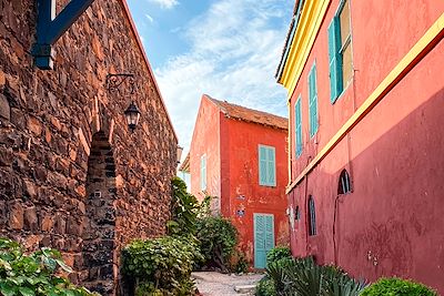 © Camille Andrieu - Ile de Gorée - Sénégal Ile de Gorée - Sénégal