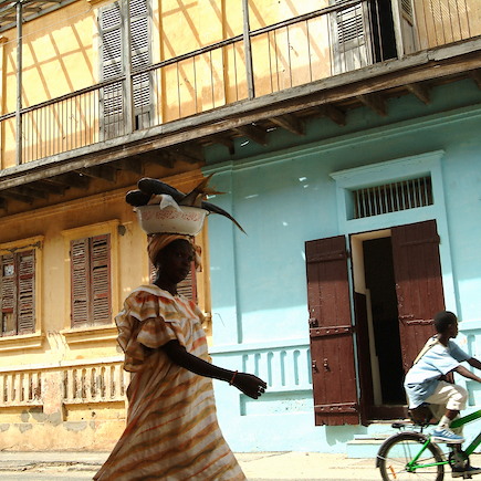Découverte Sénégal