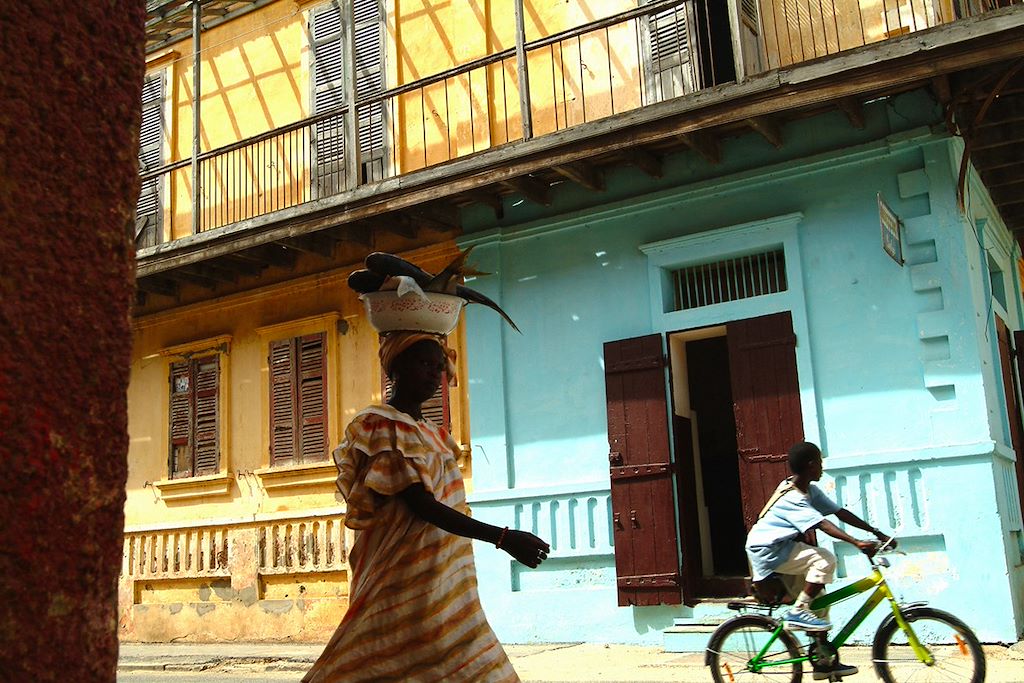 Image Saint-Louis - Ile de Gorée - Djoudj