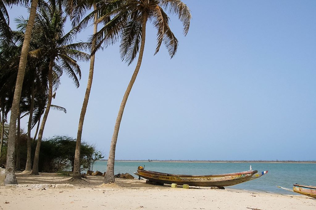 Image Saint-Louis - Ile de Gorée - Djoudj