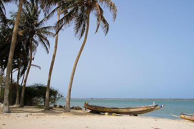© Luis Dafos / Getty Images - Parc national de la langue de Barbarie - Sénégal Parc national de la langue de Barbarie - Sénégal