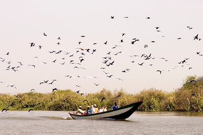 © MATTES René / hemis.fr - Parc national du Djoudj dans le delta du fleuve Sénégal - Sénégal Parc national du Djoudj dans le delta du fleuve Sénégal - Sénégal