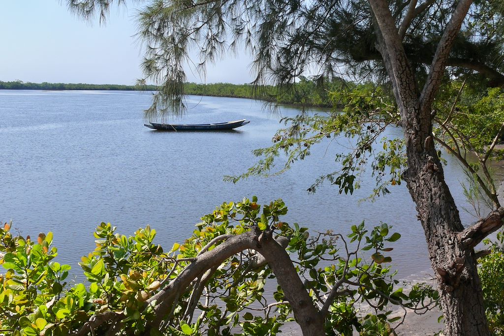 Image Randonnée Casamance - Cap Skirring - Kayak Mangrove
