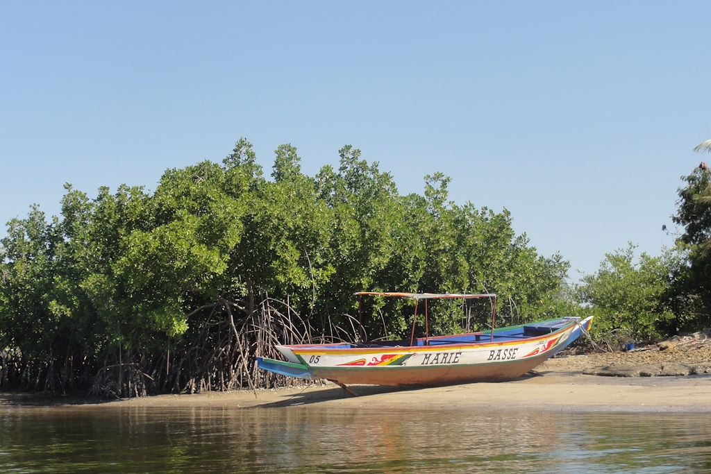 Image Randonnée Casamance - Cap Skirring - Kayak Mangrove