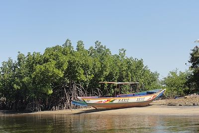 © Chloee Millhouse - Pirogue sur les rives du fleuve Casamance - Sénégal Pirogue sur les rives du fleuve Casamance - Sénégal