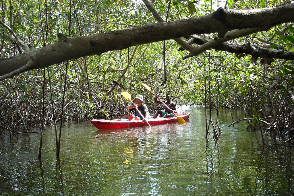 Image Randonnée Casamance - Cap Skirring - Kayak Mangrove