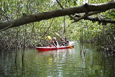 © Sébastien Leray - Balade en kayak au milieu des palétuviers - Presqu'île d'Egueye - Sénégal Balade en kayak au milieu des palétuviers - Presqu'île d'Egueye - Sénégal