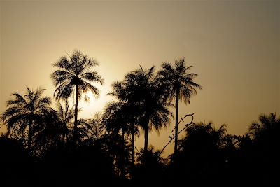 © Sébastien Leray - Coucher de soleil en pays Diola - Sénégal Coucher de soleil en pays Diola - Sénégal