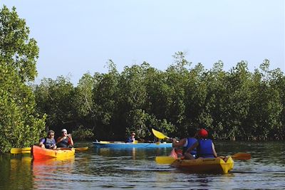 © Sébastien Leray - Kayak dans la mangrove - Presqu'île d'Egueye - Sénégal Kayak dans la mangrove - Presqu'île d'Egueye - Sénégal