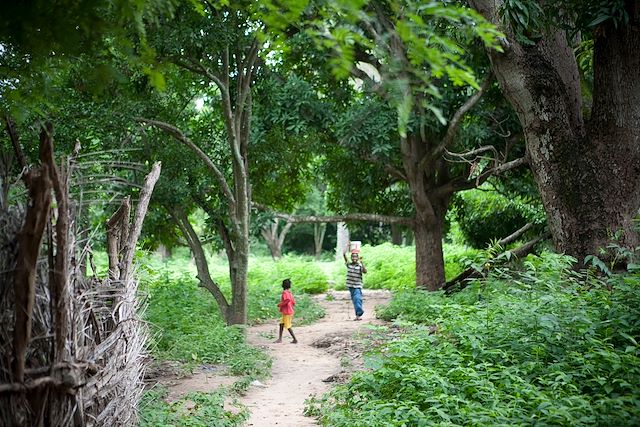 Multi-activités : Randonnées au cœur de la Casamance Voyage Randonnées au cœur de la Casamance