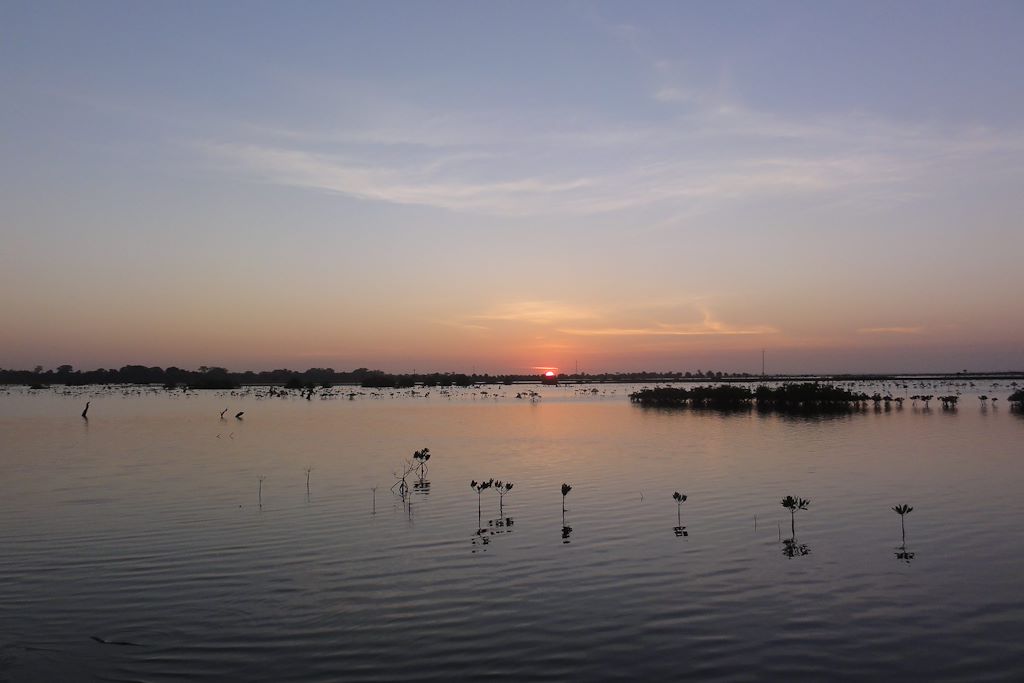 Image Randonnée Sénégal - Découverte Cap Skirring - Kayak Dans La Mangrove