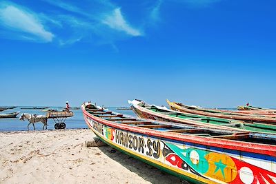 © djekker / Adobe Stock - Pirogues de pêche - Sénégal Pirogues de pêche - Sénégal
