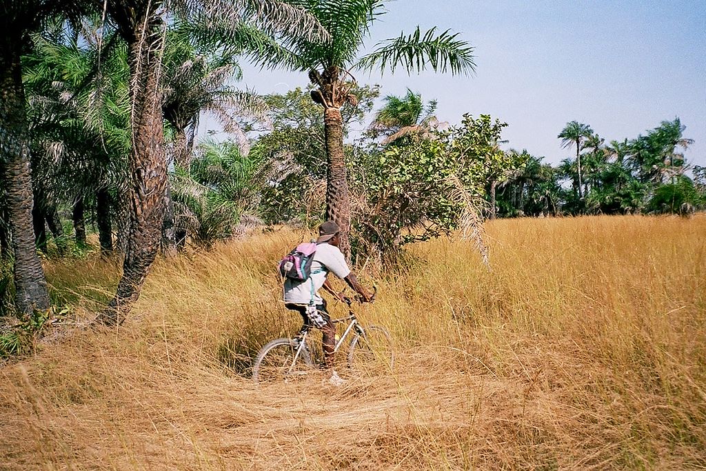 Image La Casamance en VTT - expérience de voyage au Sénégal - visite de l'île de Gorée