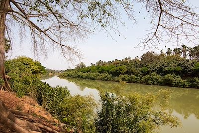 Fleuve Gambie - Parc national Niokolo-Koba - Sénégal