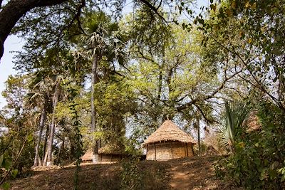Village dans le parc national de Niokolo-Koba - Sénégal
