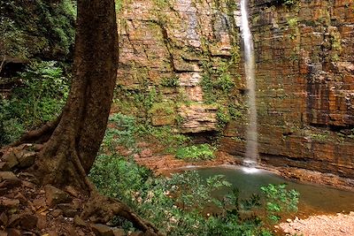 Cascade de Dindefelo près de Kédougou - Région de Tambacounda - Sénégal