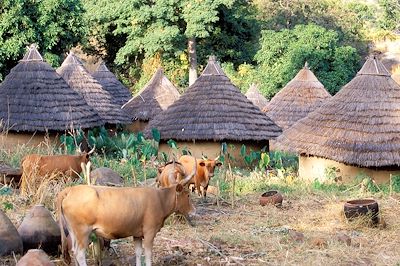 Village Bedik d'Iwol - Sénégal