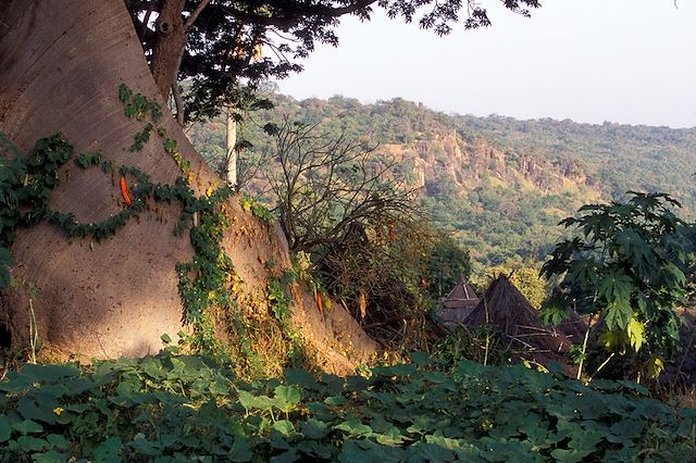 Découverte Sénégal