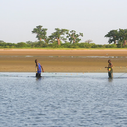 Découverte Sénégal