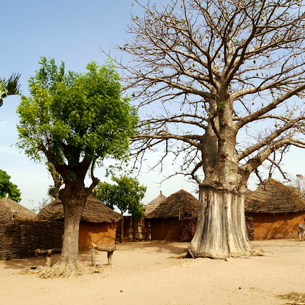 Découverte Sénégal