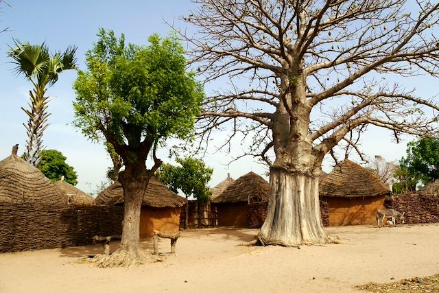 Découverte Sénégal