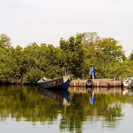 Découverte Sénégal
