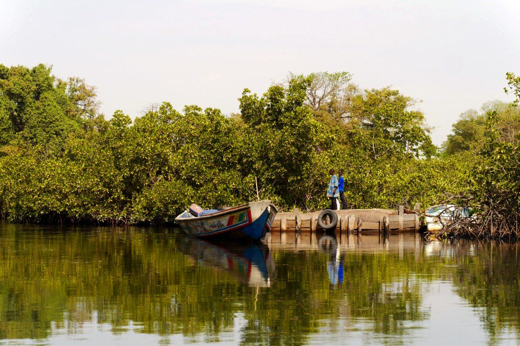 Image Trek Sénégal - Parc National Du Saloum - Campement De Dassilamé