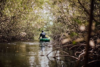 Kayak à travers la mangrove - Sénégal