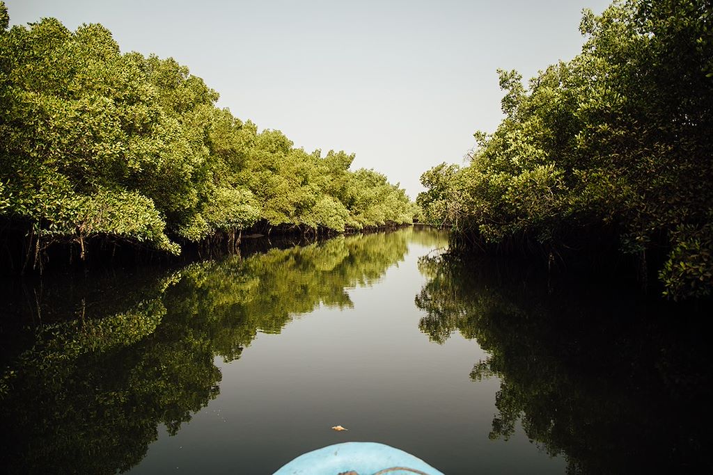 Image Randonnée Siné Saloum - Pirogue Dans Le Delta Du Sine Saloum - Bivouac Îlots Sauvages