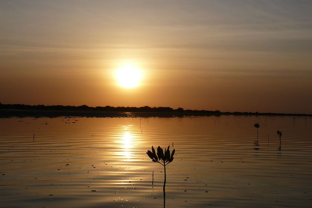 Image Découverte Du Sénégal - Réserve Marine Du Bambung - Voyage Siné Saloum