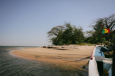 Île tropicale au Sénégal