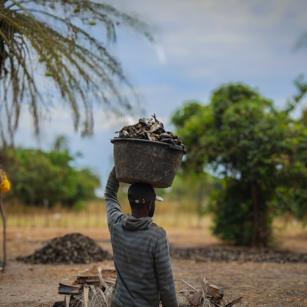 Découverte Sénégal