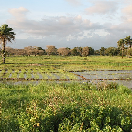Randonnée Sénégal