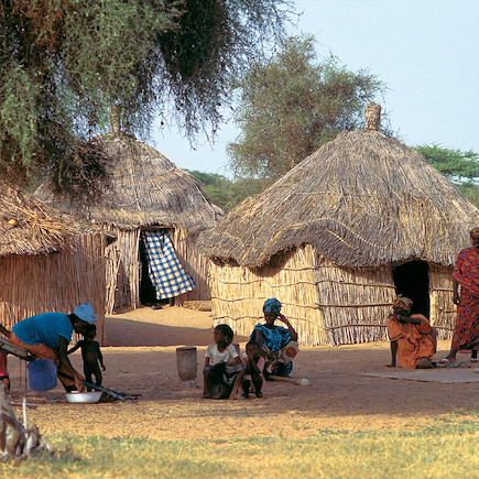 Découverte Sénégal