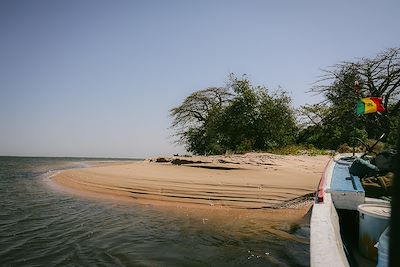 Île tropicale au Sénégal