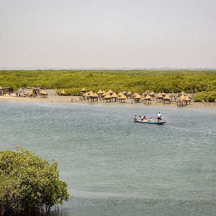Multi-activités Sénégal