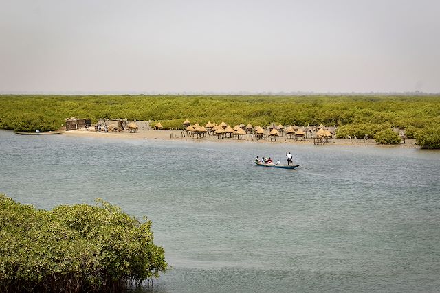 Multi-activités Sénégal