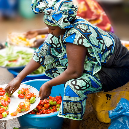Découverte Sénégal